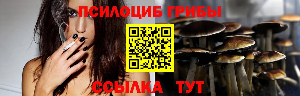 Псилоцибиновые грибы мицелий Краснокамск